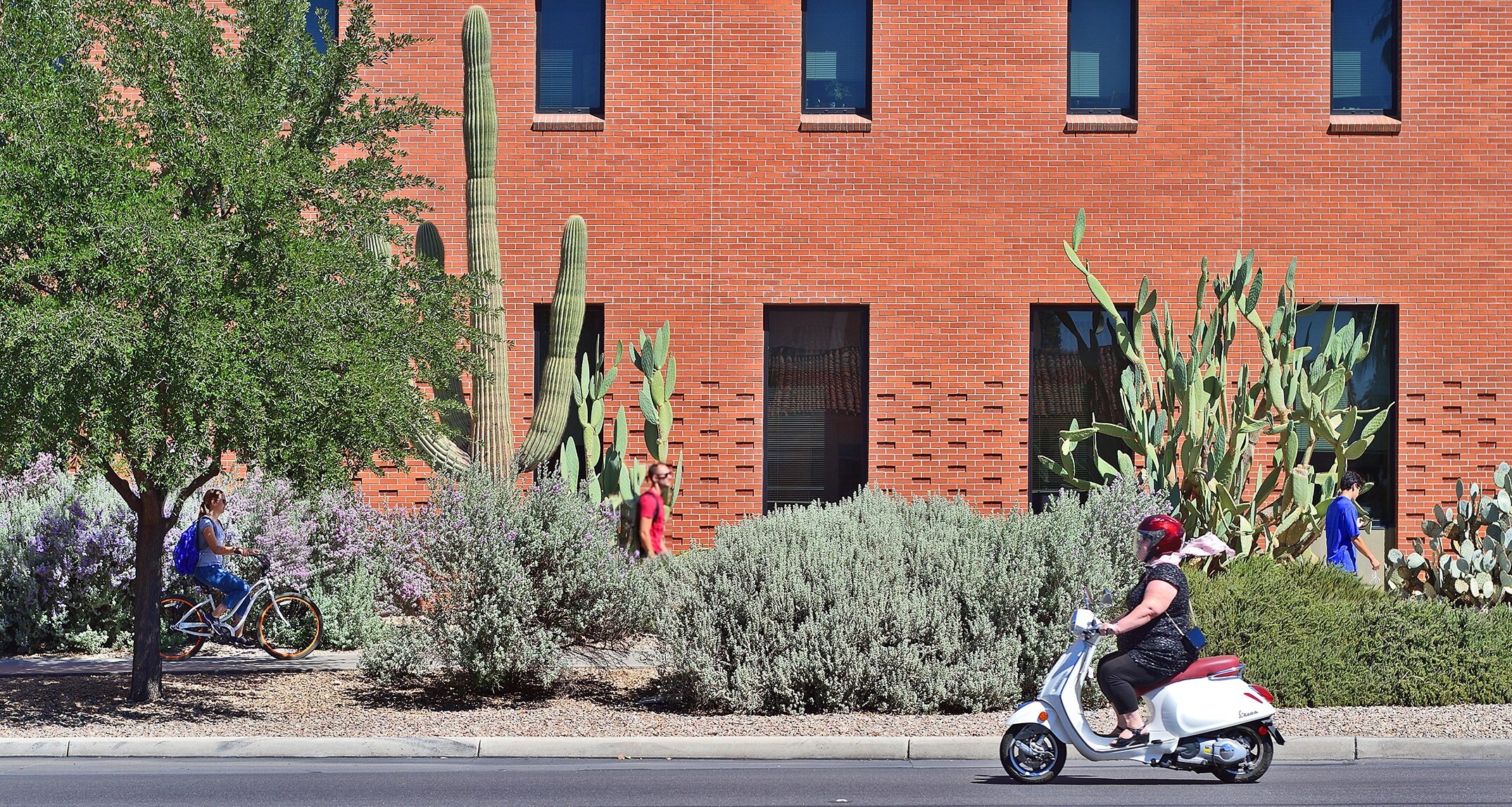 Highland District Housing, University of Arizona — NAC