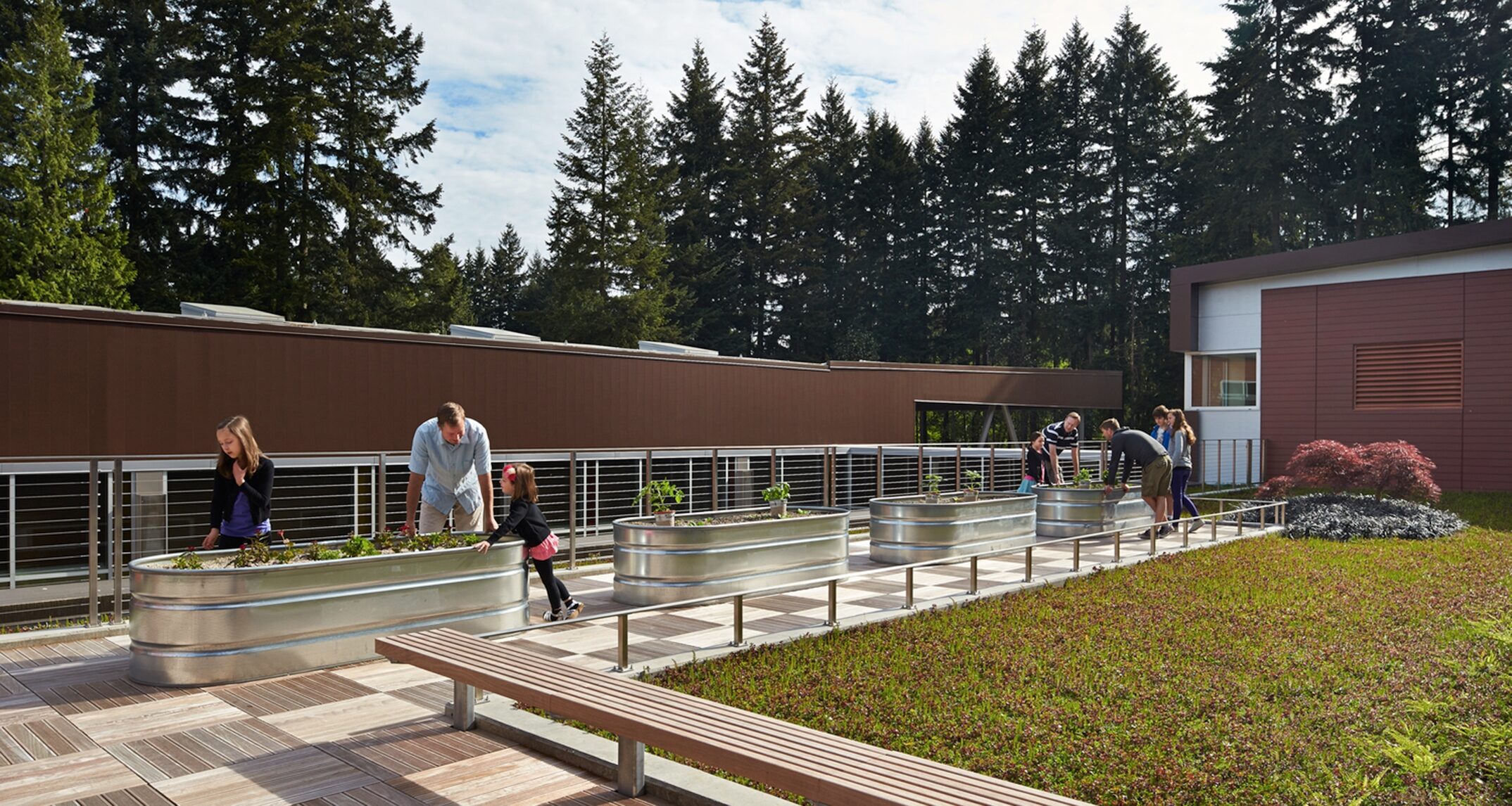 Cherry Crest Elementary School, Bellevue, Washington - NAC
Architecture 