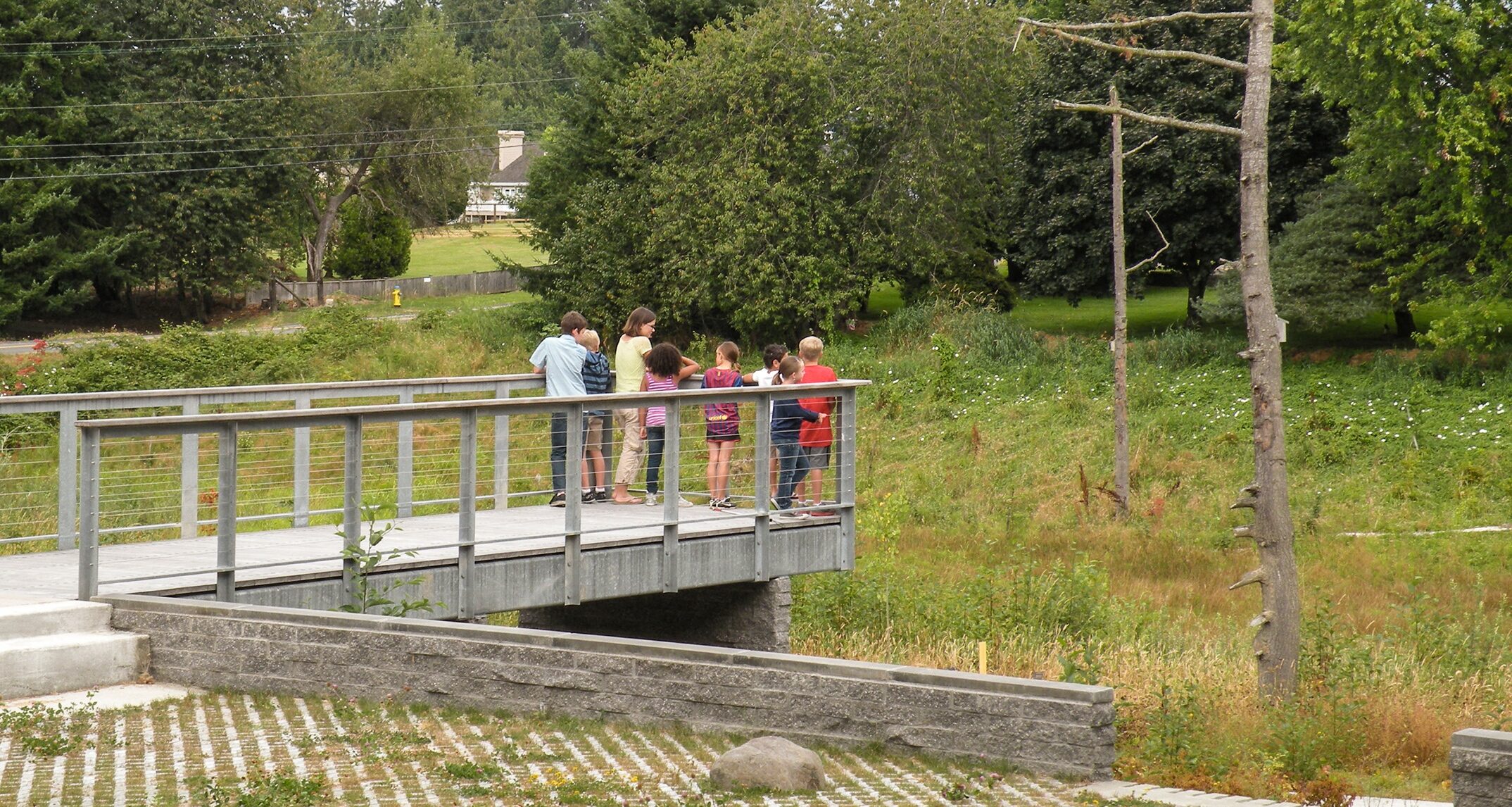 A preserved wetland claims a large portion of Riverview Elementary School’s site. Paths and observation areas create learning opportunities that engage students through exploration and play. - NAC